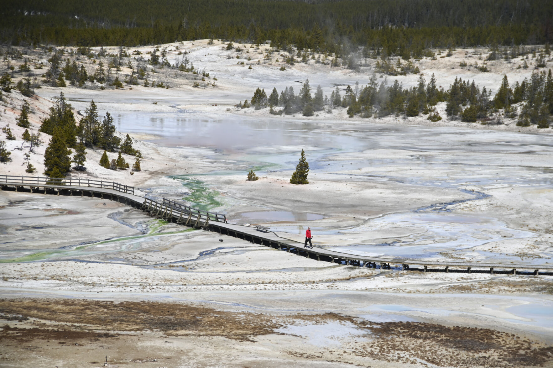 Yellowstone bike